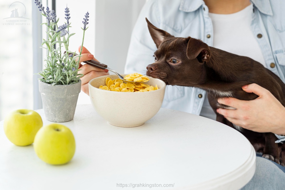 Pet Nutrition Service:
